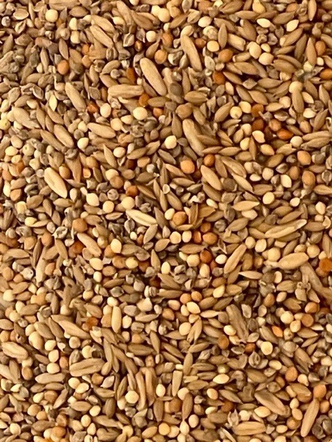 5kg Canary Seed Mix - Click Image to Close